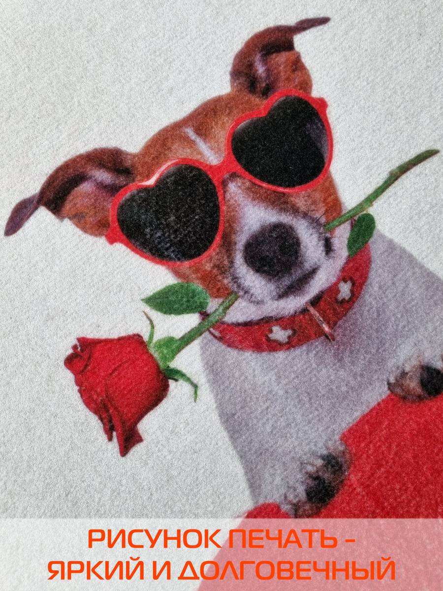 Коврик придверный PAINTS.  40x60. Каталог Матекс