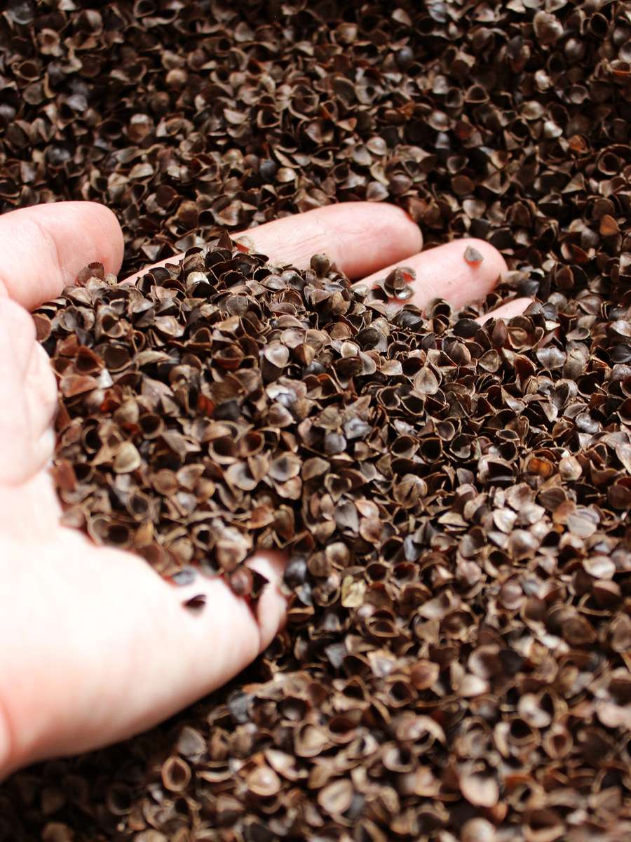 Подушка для сиденья ECOLOGY SEAT.  40x40. Каталог Матекс