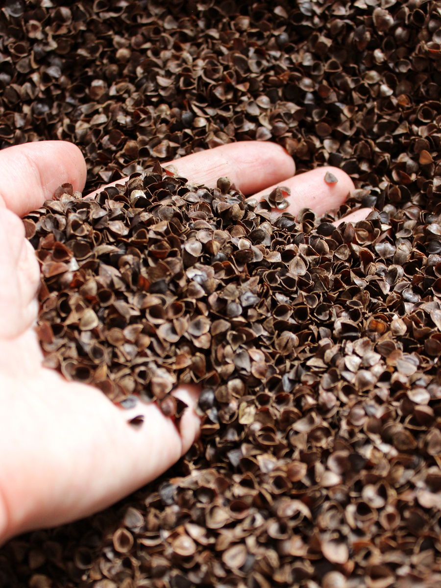 Подушка для сидения ECOLOGY SEAT.  40x40. Каталог Матекс