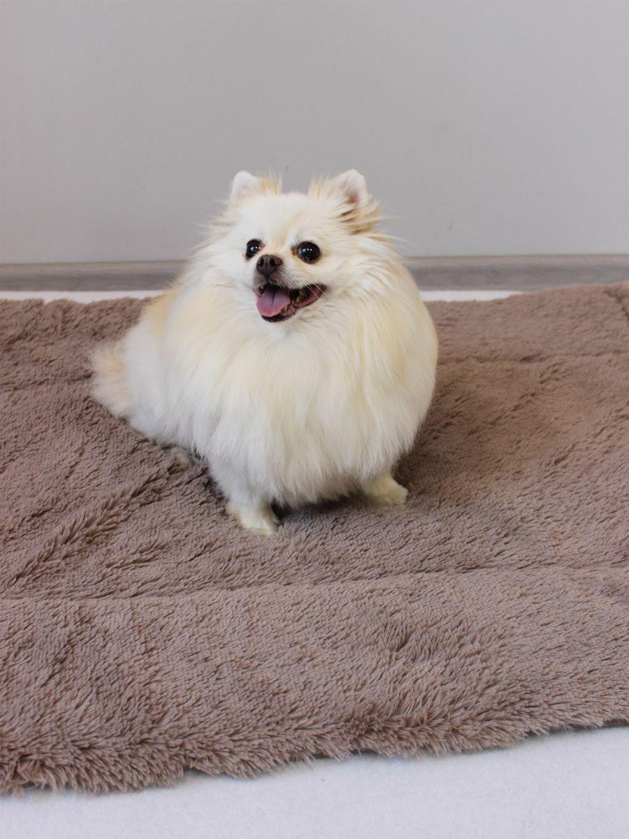 Подстилка-лежанка PET PLUSH. ДЛЯ ЖИВОТНЫX 88x68. Каталог Матекс Подстилка-лежанка PET PLUSH. ДЛЯ ЖИВОТНЫX 88x68. Каталог Матекс