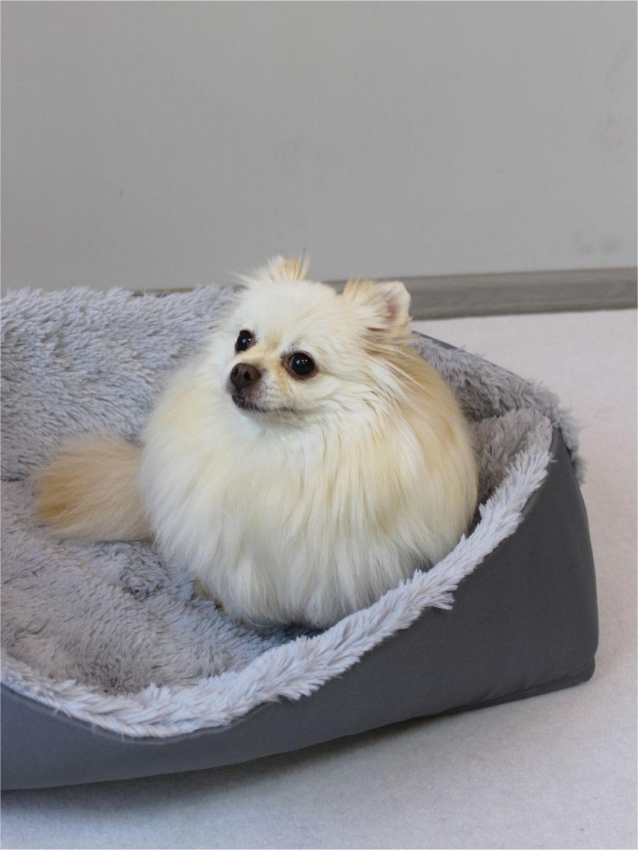Подстилка-лежанка PET PLUSH. ДЛЯ ЖИВОТНЫX 88x68. Каталог Матекс Подстилка-лежанка PET PLUSH. ДЛЯ ЖИВОТНЫX 88x68. Каталог Матекс