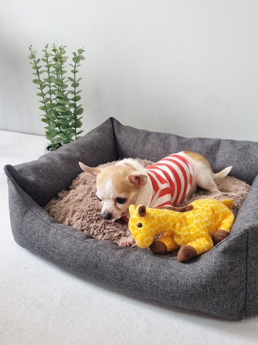 Подушка-лежанка PET PLUSH. ДЛЯ ЖИВОТНЫX 42x36. Каталог Матекс