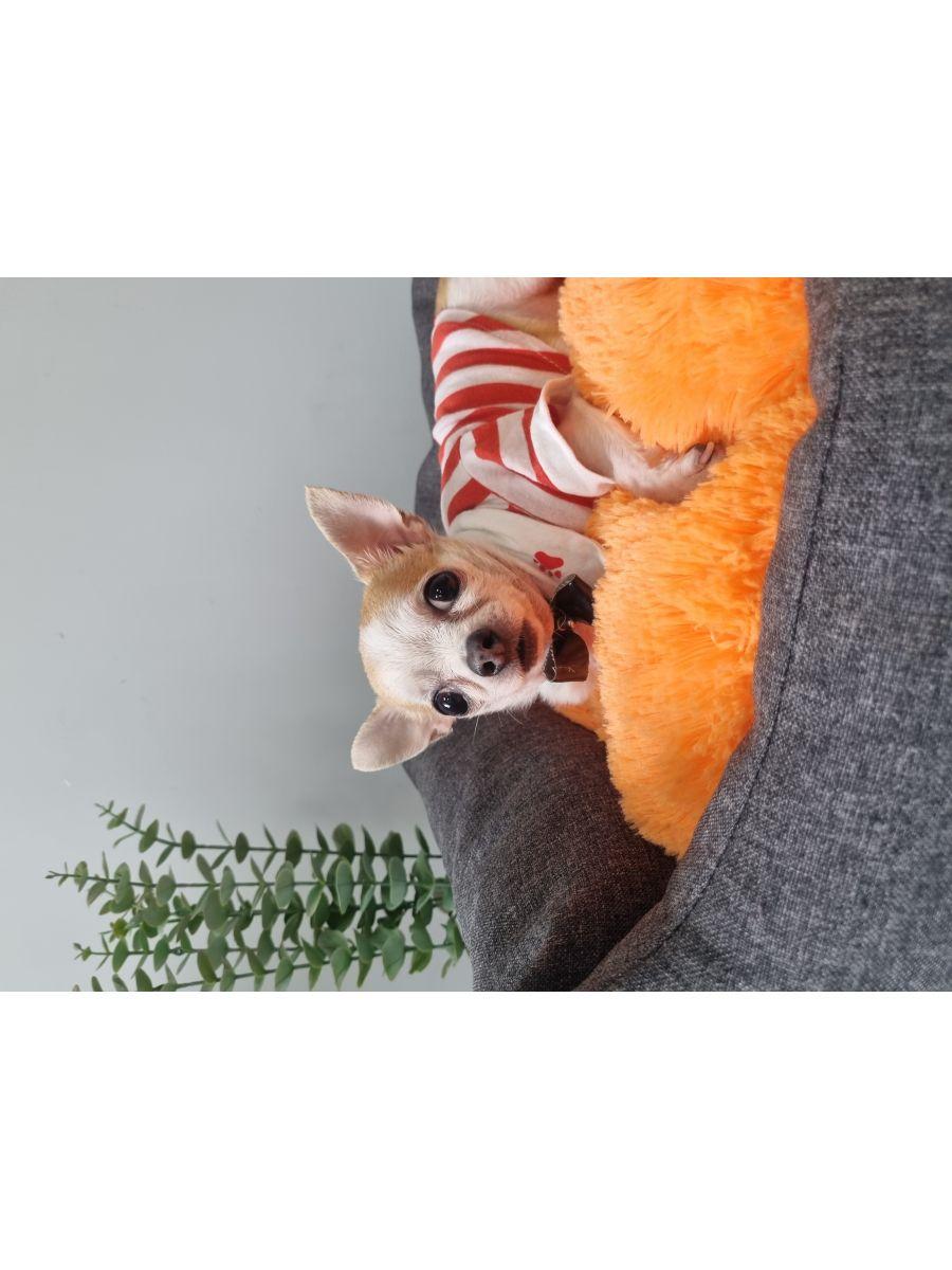 Подушка-лежанка PET PLUSH. ДЛЯ ЖИВОТНЫX 42x36. Каталог Матекс