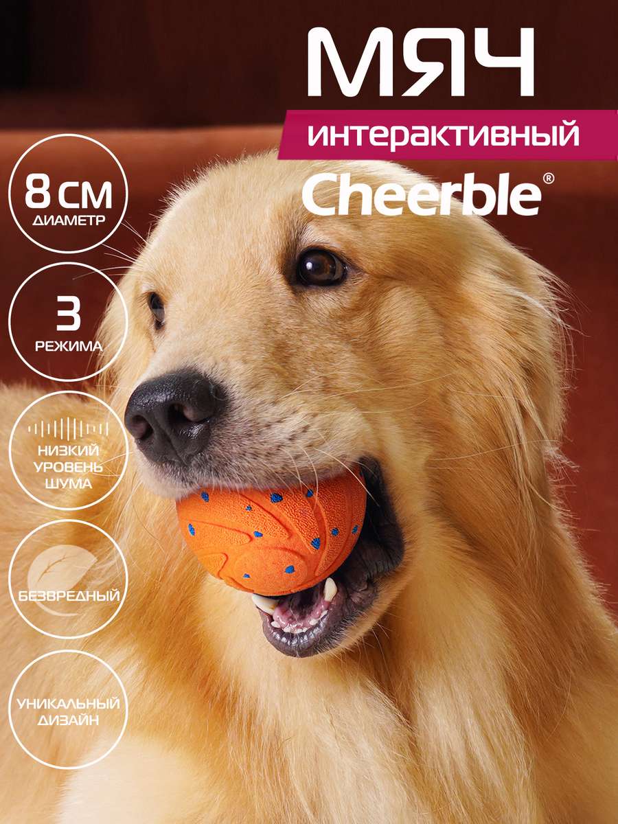 Категория  Игрушка для животных в каталоге Для животных