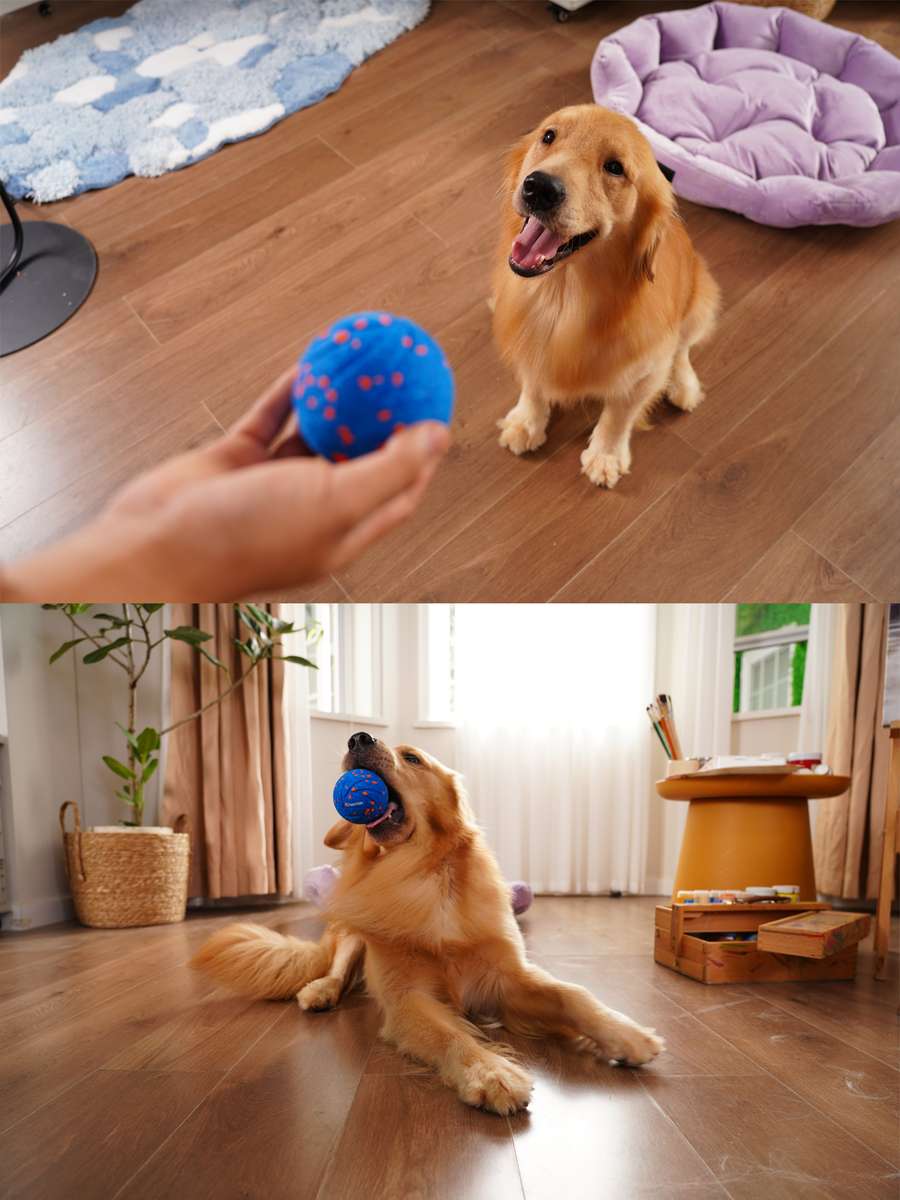 Игрушка для животных BALL.  8x8x8. Каталог Матекс