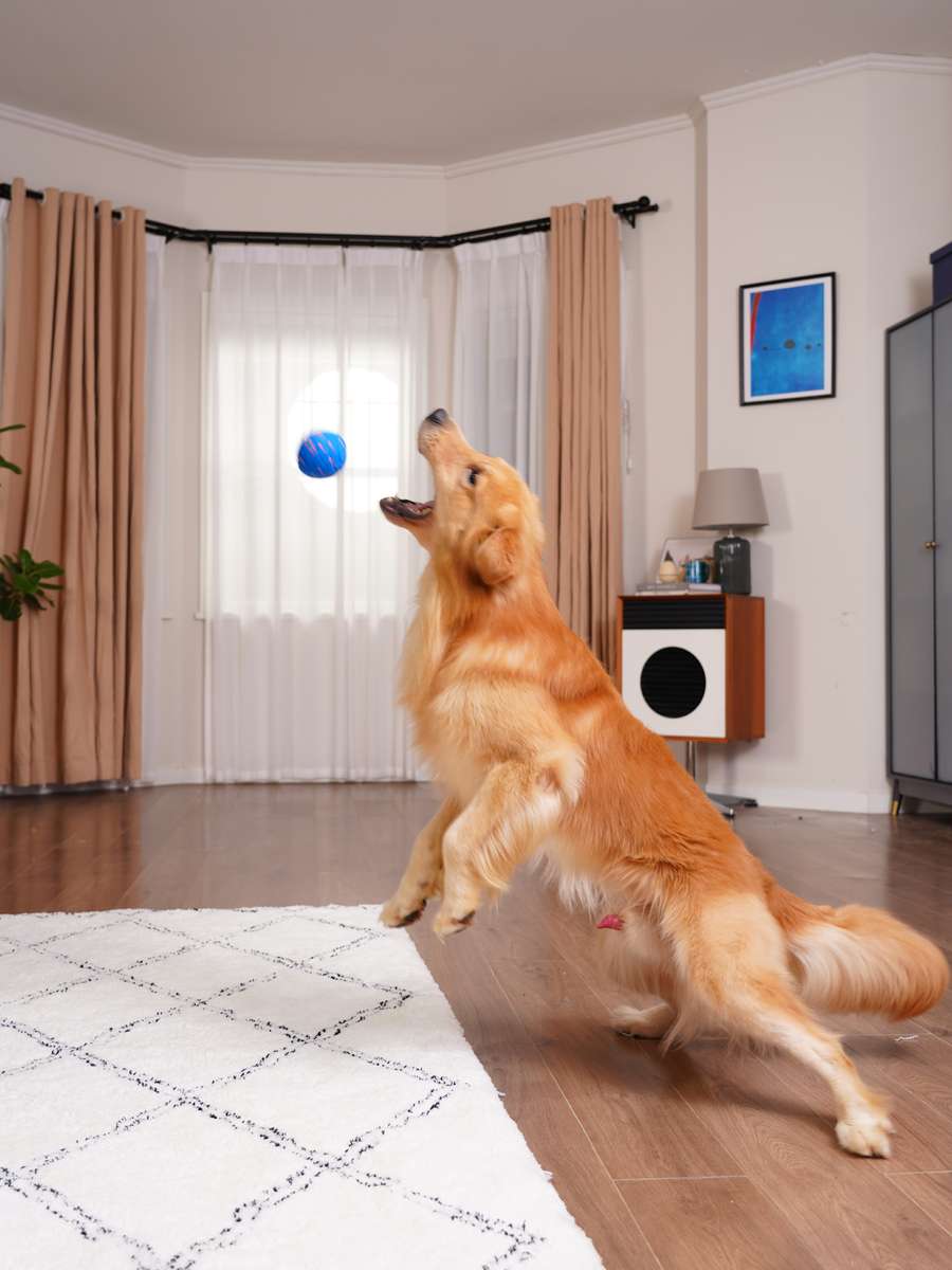 Игрушка для животных BALL.  8x8x8. Каталог Матекс