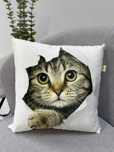 Подушка декоративная FANTASY  33x33  КОТ СКВОЗЬ БУМАГУ  Артикул 31-130  Цвет: Коричневый 